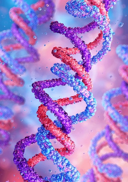 Collagen molecular structure